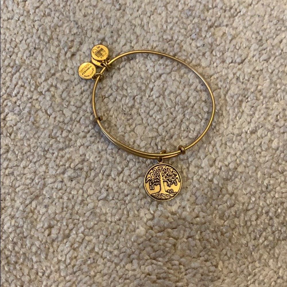 Alex and Ani Bracelet